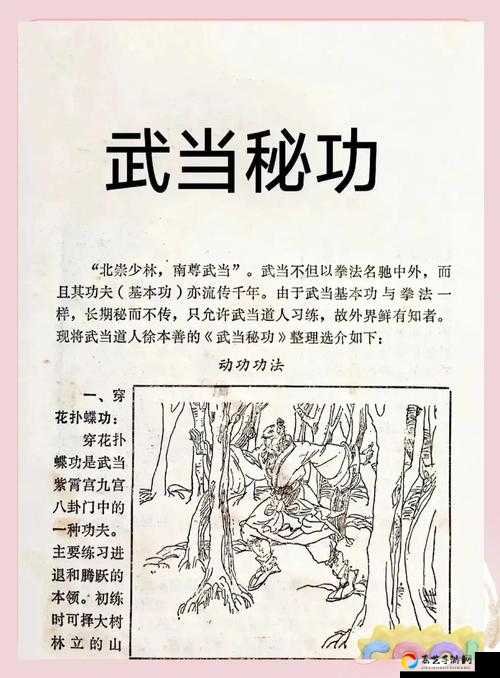 绝美轻功一学就会！烟雨江湖飞檐走壁实用技巧大公开