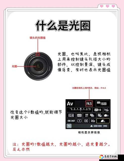 Keto星季光圈恢复全攻略！3步轻松复活光圈，手残党速看