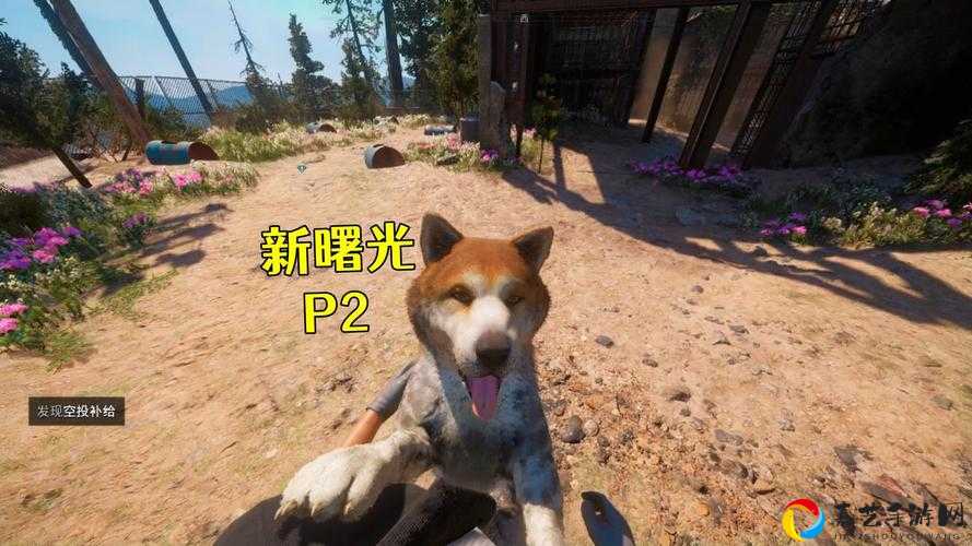 保姆级攻略！孤岛行动宠物选对爆哭厉害