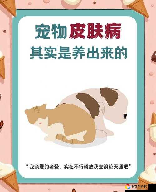 我的起源1506最新宠物曝光！这些神宠不养血亏？保姆级攻略速存