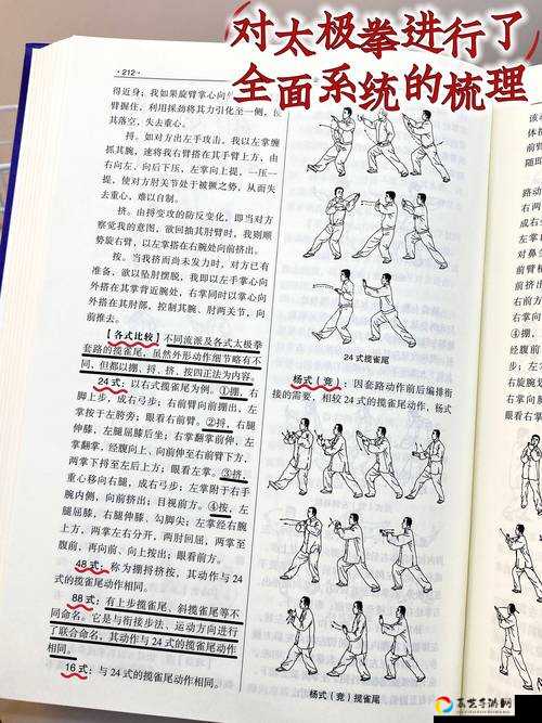 零基础必看！一起妖太极球投掷技巧绝招大公开