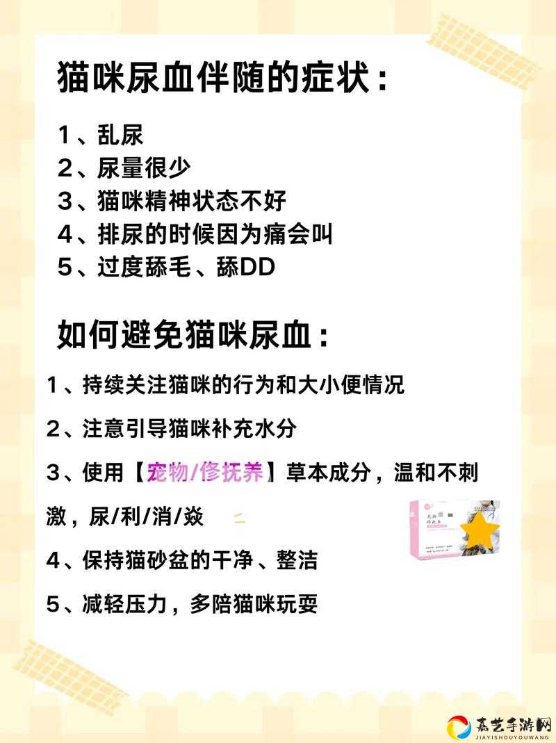 独家攻略专属猫血缘关系解析！为啥它不能繁殖？看完直接涨姿势！