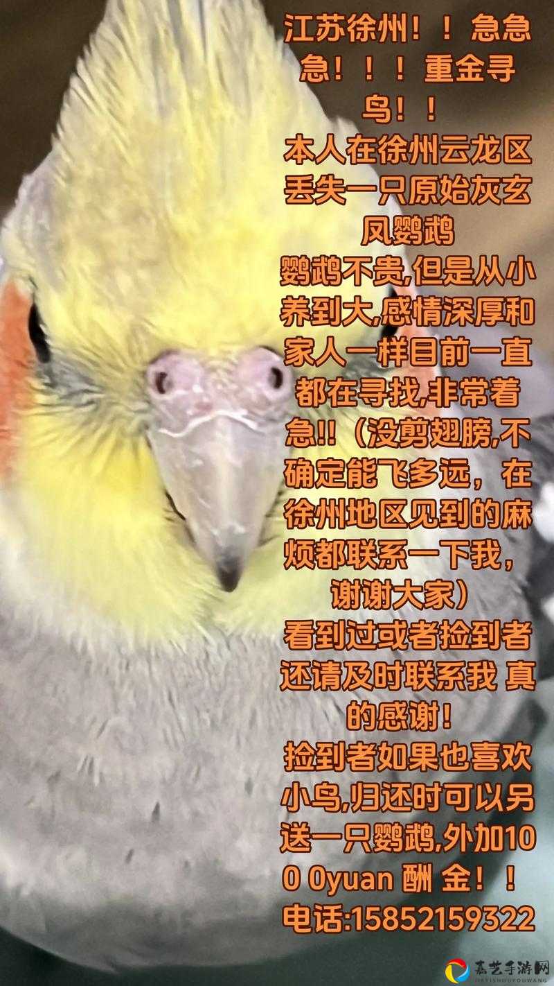 开荒探索必看！老鸟的馈赠让你少走弯路