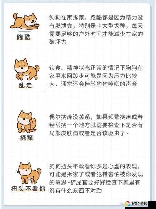 这个动物不正经第18关必看！蹲了三天终于破解的神操作攻略