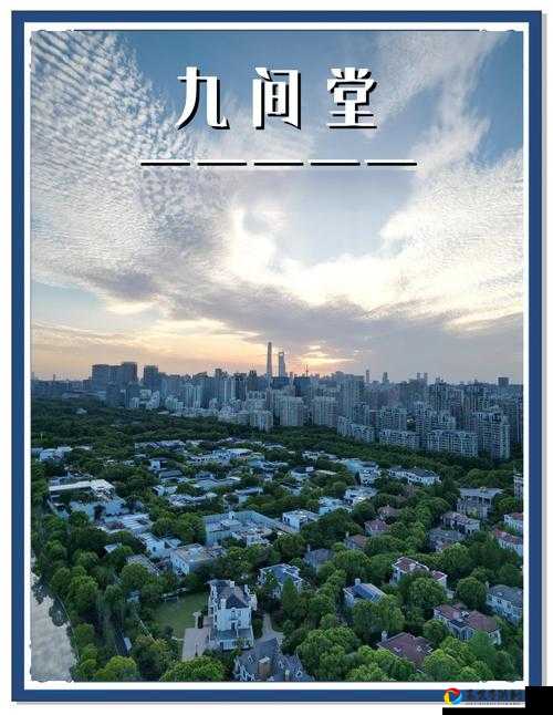 第九所建筑布局新手必看！3天打造高收益空间的秘诀大公开🔥