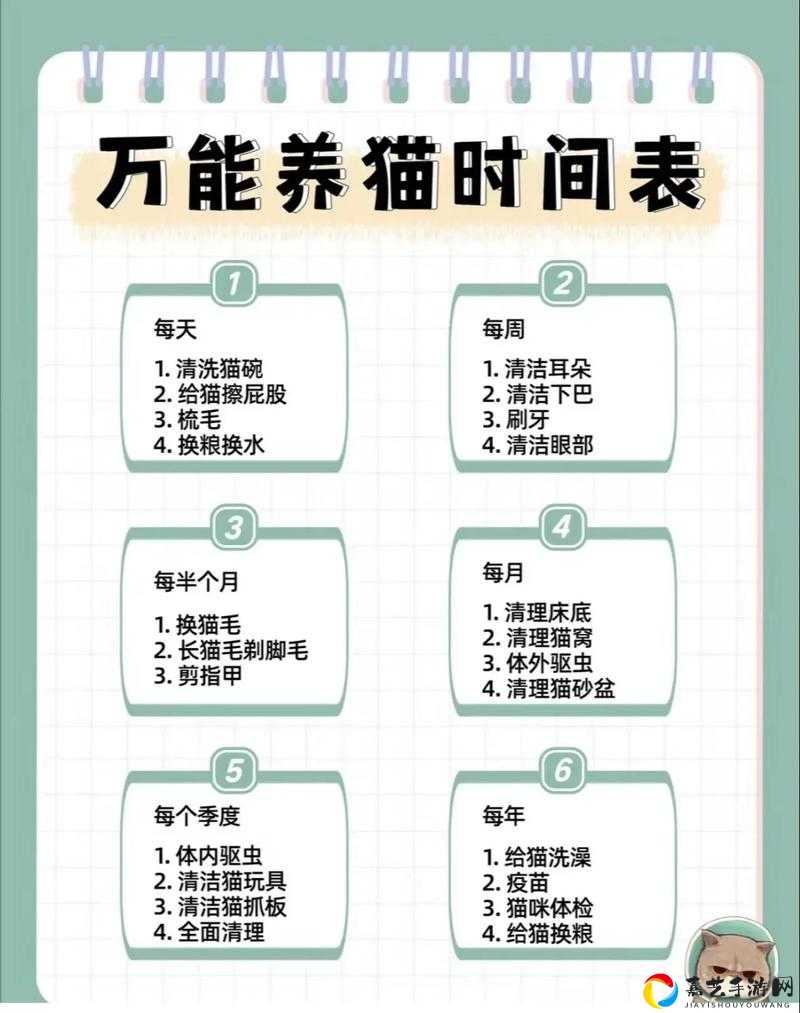 专属猫恢复时间大揭秘！繁育周期变化保姆级攻略，必看！
