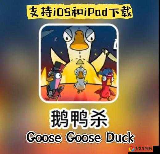 超生气！鹅鸭杀卡顿动不了？5招秒解决，队友看了直呼666！