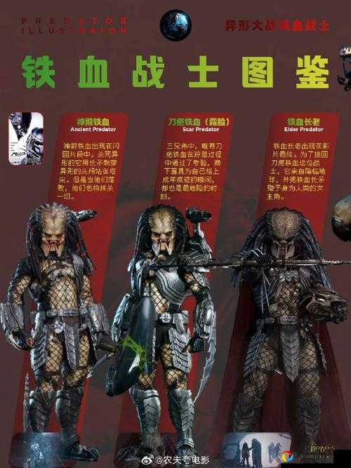 尖叫预警！异形大战铁血战士人类篇全流程避雷指南