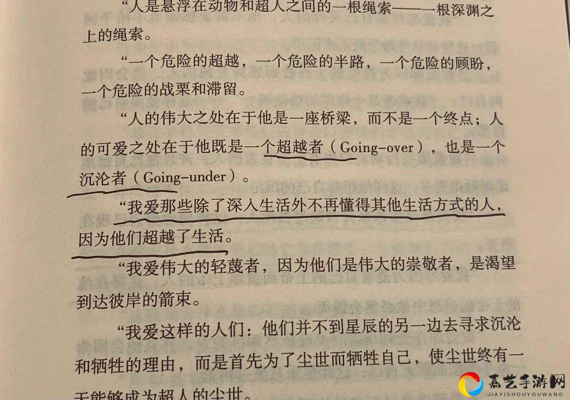 文字的力量第十七关必看！爆哭推荐的图文通关秘籍