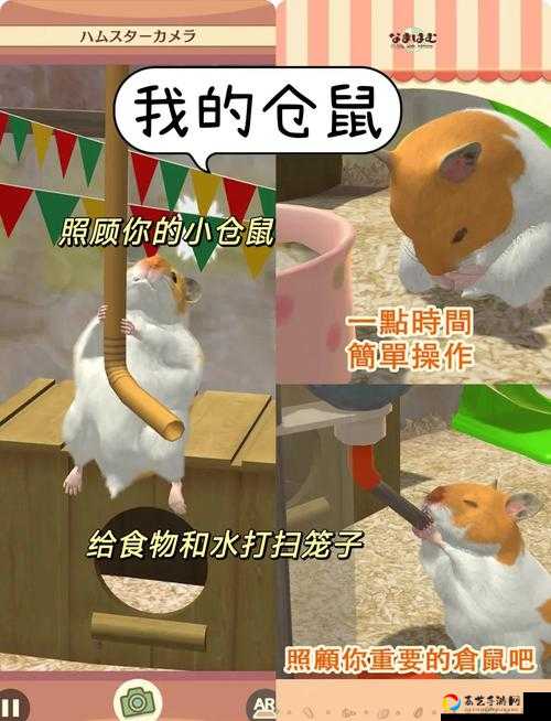 尖叫推荐！这5款宠物养成手游让我沦陷，根本停不下来！
