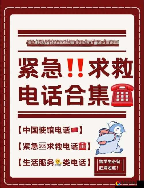 1月6日紧急通知！超级店长最新电话号码速查指南