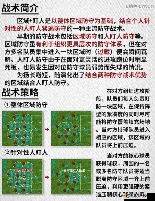 国土防线必看！超详细图文攻略带你秒变大神