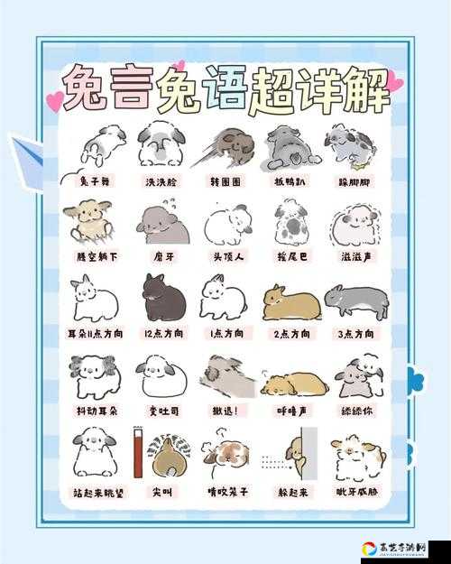 浣熊不高兴兔子获取方法大揭秘！这招绝了，手慢无！