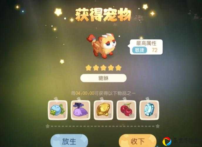 奥比岛梦想国度宠物业务必看！3分钟解锁萌宠小屋的隐藏技巧