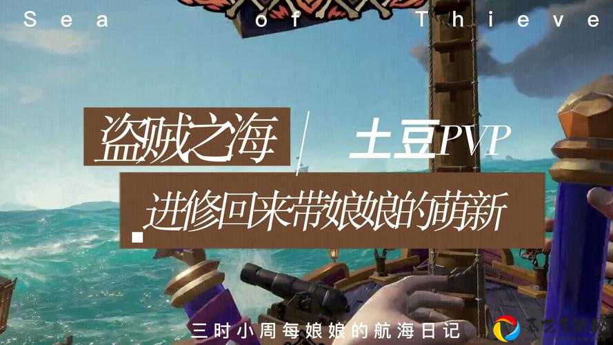 盗贼之海灵魂秩序任务必看！悬赏令任务速通攻略，手残党也能完美通关
