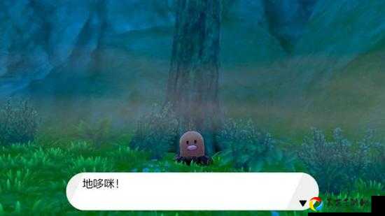 宝可梦剑盾离岛地区地鼠绝密位置！DLC隐藏路线速领技巧大公开