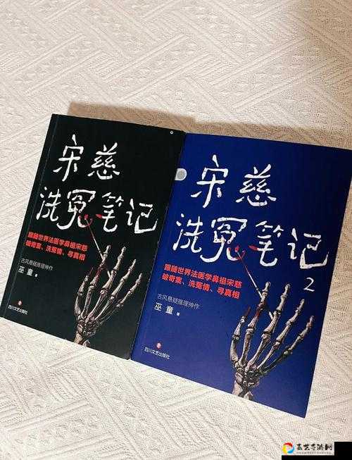 尖叫预警！法医宋慈番外答案终于曝光，看完直呼绝了！