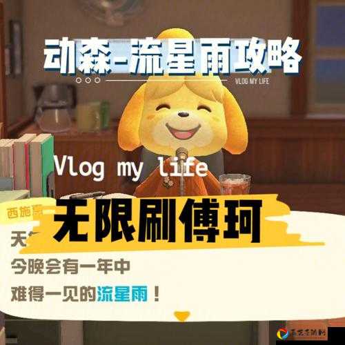 傅珂送全图纸攻略！集合啦动森傅珂所有装饰图纸一览