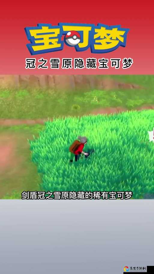 宝可梦剑盾冠之雪原极巨大冒险终极指南！这波操作直接封神