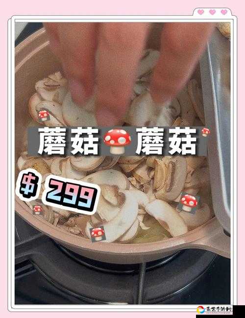 幻塔蘑菇汤烹饪图鉴！手残党也能做神汤，效果强到离谱！