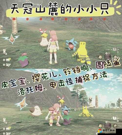 摩尔庄园手游健康萝卜兔套装绝美获取攻略！手把手教你速领萌系装扮🔥
