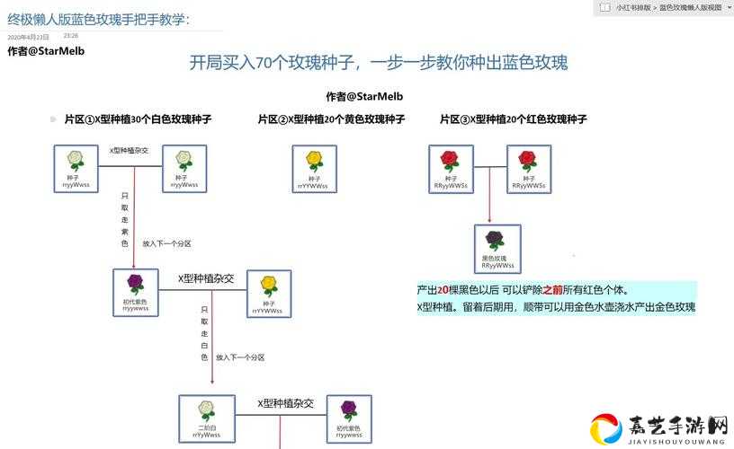 动物森友会蓝玫瑰速刷攻略！手把手教你3天养出神仙花园