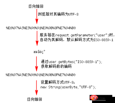 超详细教程圣歌怎么设置简体中文？手把手教你告别乱码！