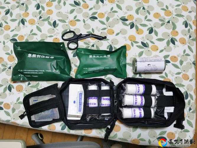 逃离塔科夫车用急救包必看！救命神器竟能这样用？干货全解析