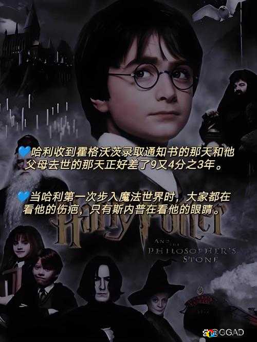 尖叫预警！弗立维教授教什么课？哈利波特迷必看冷知识！