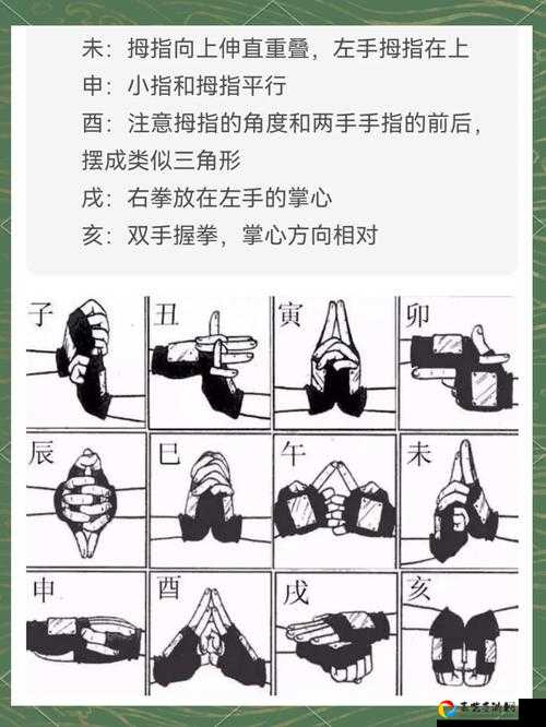 木系连招搭配绝了！手残党秒变大神的保姆级教程