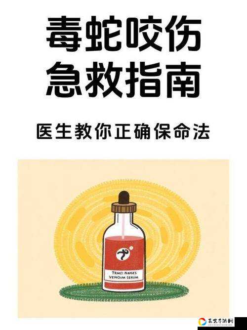 绝地求生必看！遇险急救必备技巧，三步操作保命