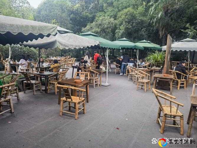 江湖悠悠茶馆喝茶触发隐藏剧情！爆肝整理3步必出特殊故事