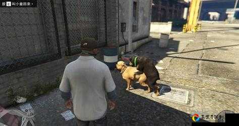 GTA5超级游艇人生任务全解！线上模式保姆级教程，零失败攻略带你秒拿奖励！