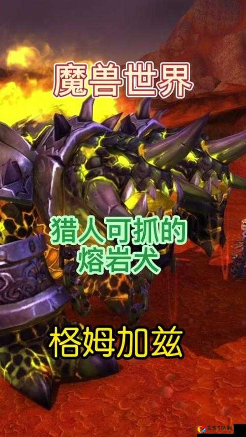 魔兽83防战必看！腐蚀装备选择全攻略，秒变战神就靠它！