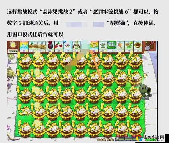 花与剑银币速刷绝招！这5个方法让你暴富又上头