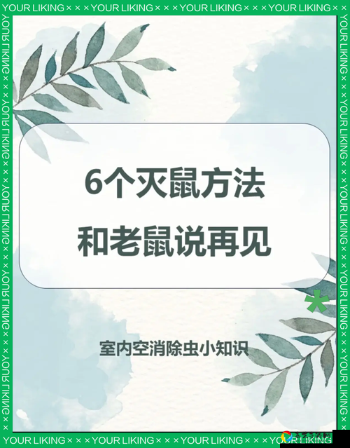 鼠火箭距离太远崩溃了！5个超实用技巧让老鼠轻松追上