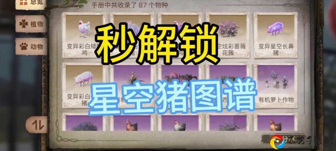 明日之后猪佩佩宠物三件套价格大揭秘！时装获取方法+萌到心碎的外观全解析