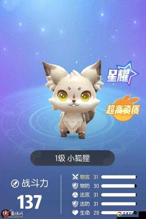 一起来捉妖南瓜头黑猫技能全解！必抽神妖？技能机制太香了！