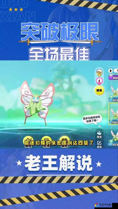 迷蝴蝶技能全解析！超详细属性一览带你秒懂培养技巧