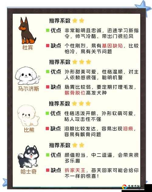 伊洛纳养狗新手必看！超萌易养狗top5+进阶攻略一本通