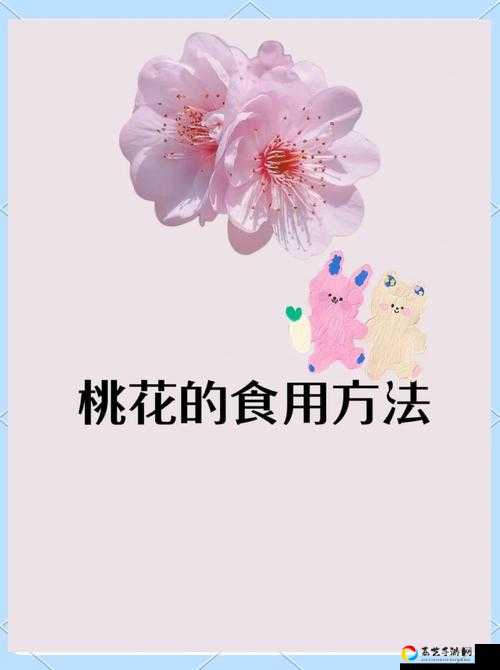 必看！桃花粥技能解析，这逆天天赋居然能教你制霸厨房！