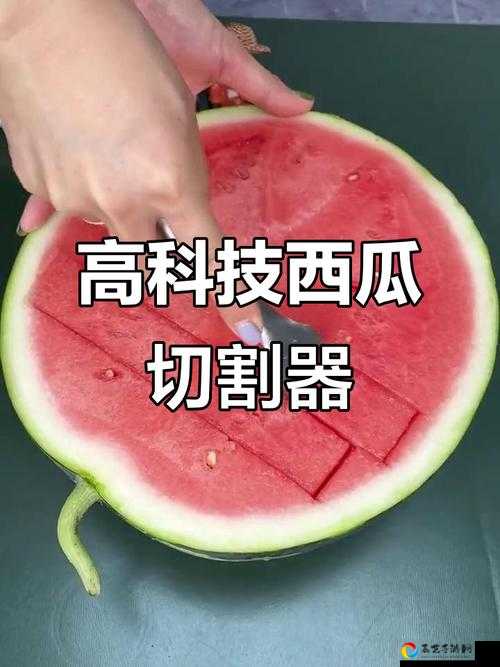 西瓜切开神器大公开！烧脑智力大乱斗第10关必看通关诀窍
