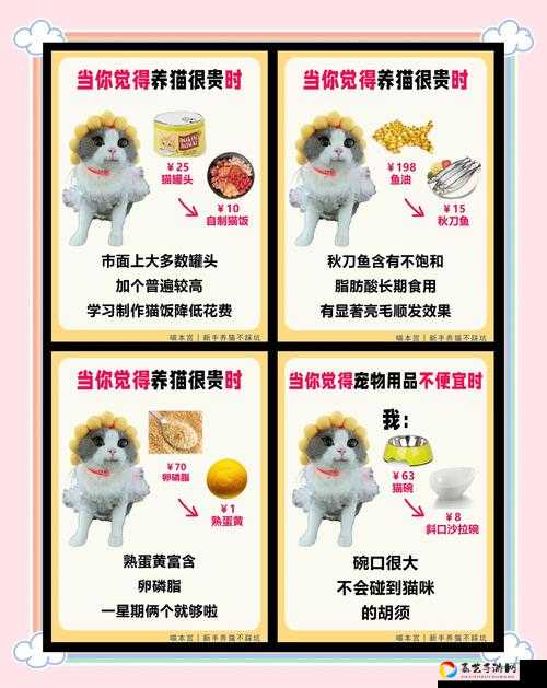 绝美喵汪星人套装如何白嫖？这份攻略让你尖叫！