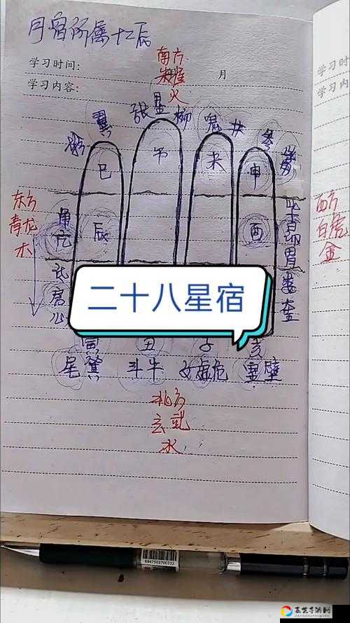 必看攻略井宿星位置爆全！3分钟教你轻松捕捉+绝密点位大公开
