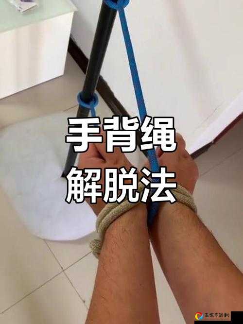 绳索救援第17关必过攻略！手残党也能轻松通关的隐藏技巧
