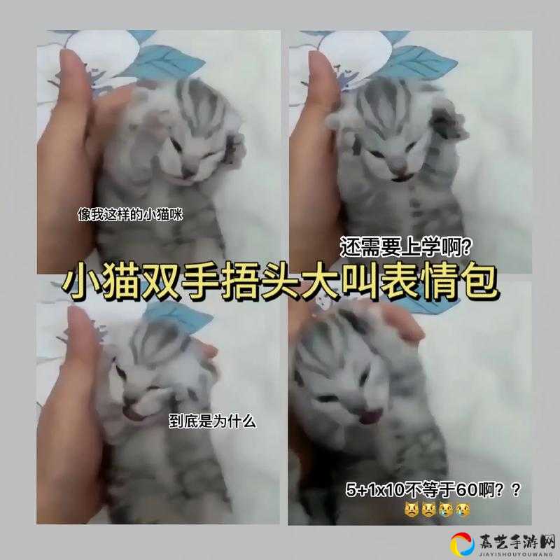 尖叫！这5个技巧让你的表情动作全解锁！