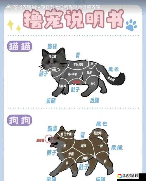 必看攻略！想不想修真宠物蛋获取技巧大公开！萌宠养成党速戳~