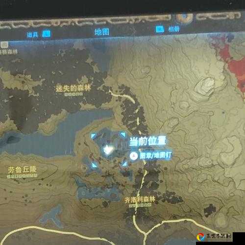 塞尔达传说迷雾森林隐藏位置大揭秘！手把手带你穿越迷雾寻宝