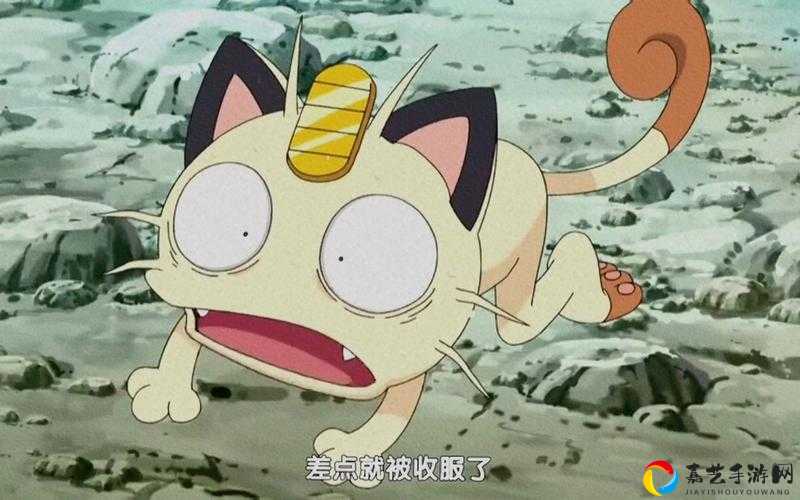 宝可梦剑盾喵喵的护符金币藏在哪？绝绝子路线全公开！