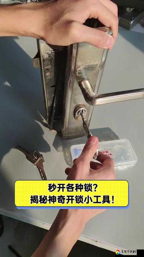 伊洛纳开锁工具获取技巧！手把手教你秒变开锁达人